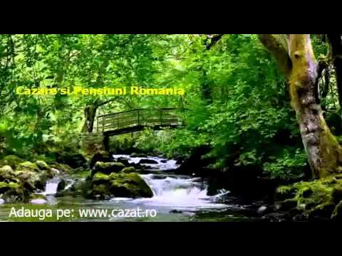 Cazare Negoiesti, Dolj - Cazat.ro