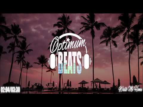 Pink - Walk Me Home ( AquaZoom Remix )