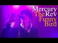 Mercury Rev - The Funny Bird (Lyrics live 2025)