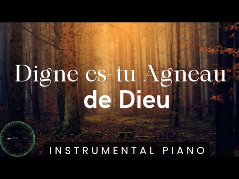 Digne es tu Agneau de Dieu: Adoration Instrumentale
