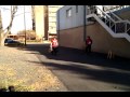 Los Campeones Strongman 200 Pound Farmers Walk 2010 Benjamin Loehrer