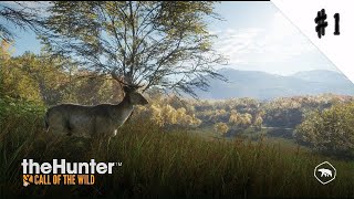 【FPS】たまにはまったりthe Hunter : Call of the Wild《さつき&みずち&だんぷ》