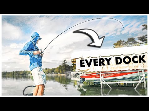 I Fished EVERY DOCK In My Lake! (What I Learned)