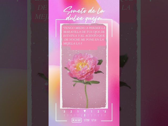 Vídeo relacionado con Solitaria Rosa de Tu Aliento