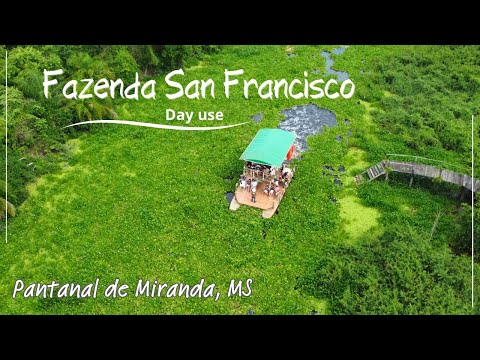 San Francisco Farm, a day use in the Pantanal de Miranda MS. Boat trip and photographic safari