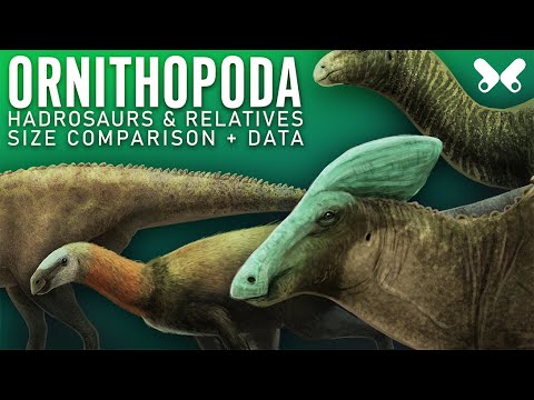 鳥脚類: ハドロサウルス類とその近縁種。恐竜の大きさ比較。パレオアート