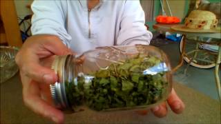 A Simple Method Of Drying Moringa Leaves