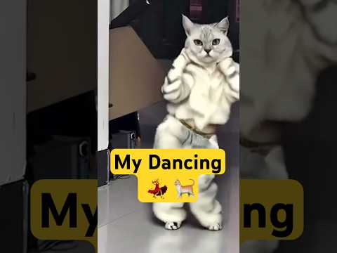 Dancing cat #Shorts #FYP