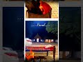 Chand Taro Ki Suhani Raata Saraiki Status Full Screen