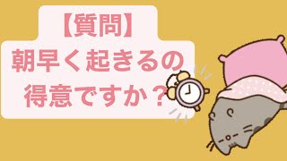 【質問】朝早く起きるの得意ですか？ feat.初音ミク #Shorts #vocaloid