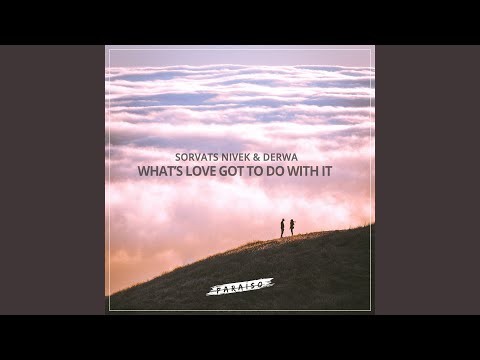 What's Love Got To Do With It