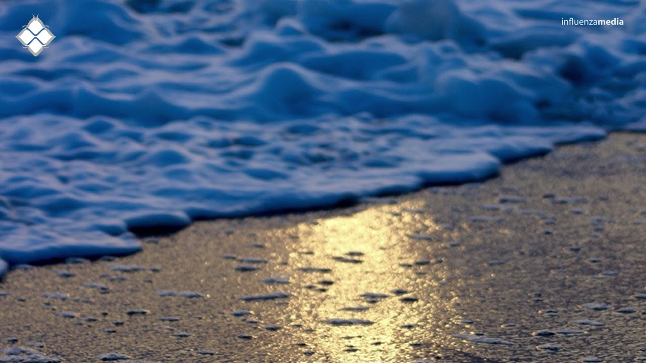 Soul Foundation - Rise Of The Fallen