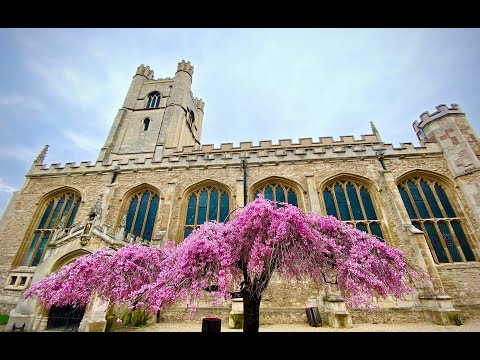 YouTube video thumbnail