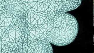 Jason Molina- The Big Game is Every Night LIVE 2002 Audio Only