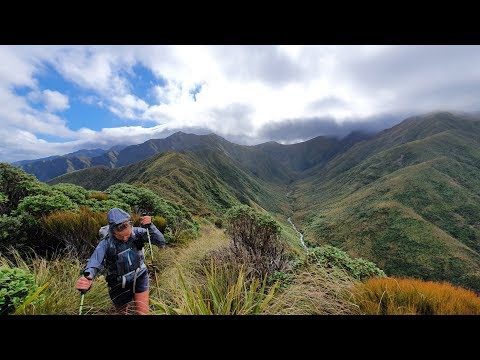 Te Araroa New Zealand 2019/2020 - Day 46: Tararua D4, HobbitLand, Nychols, Waitewaewae Hut /km 1570