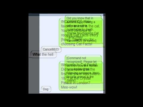Cat Facts Texts