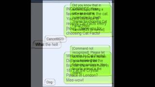 Cat Facts - Funniest Text Prank Ever!