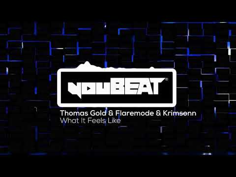 Thomas Gold & Flaremode & Krimsonn - What It Feels Like