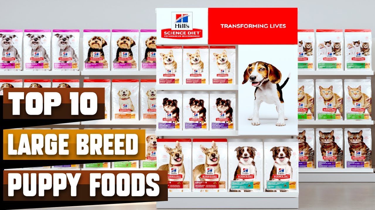 Best Large Breed Puppy Foods in 2023 (Top 10 Picks)