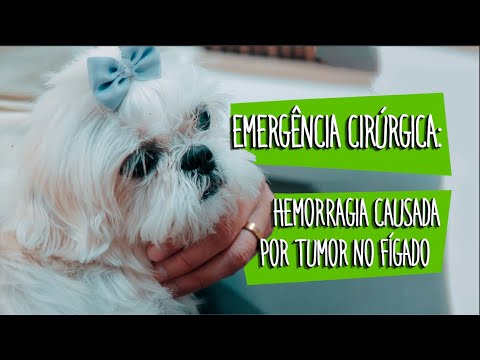 Câncer de Fígado Inoperável