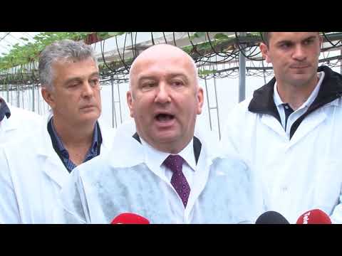 09 07 MINISTAR POPOVIC U CENTRU ZA  KROMPIR I LIVNICI U GUCI