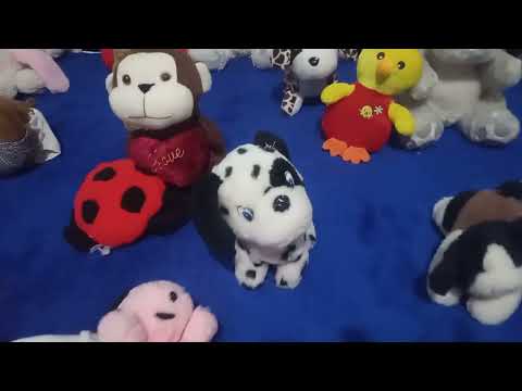 12 de outubro de 2025 Quadrangular de Paula Freitas Paraná