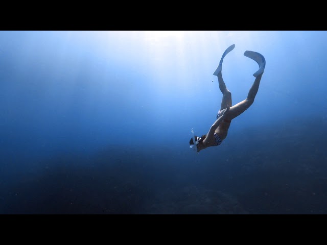 Anella Diving Service