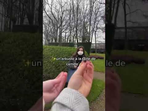 Quand t'as le plus beau lycée de France TikTok ➡️ @ z0et #Shorts
