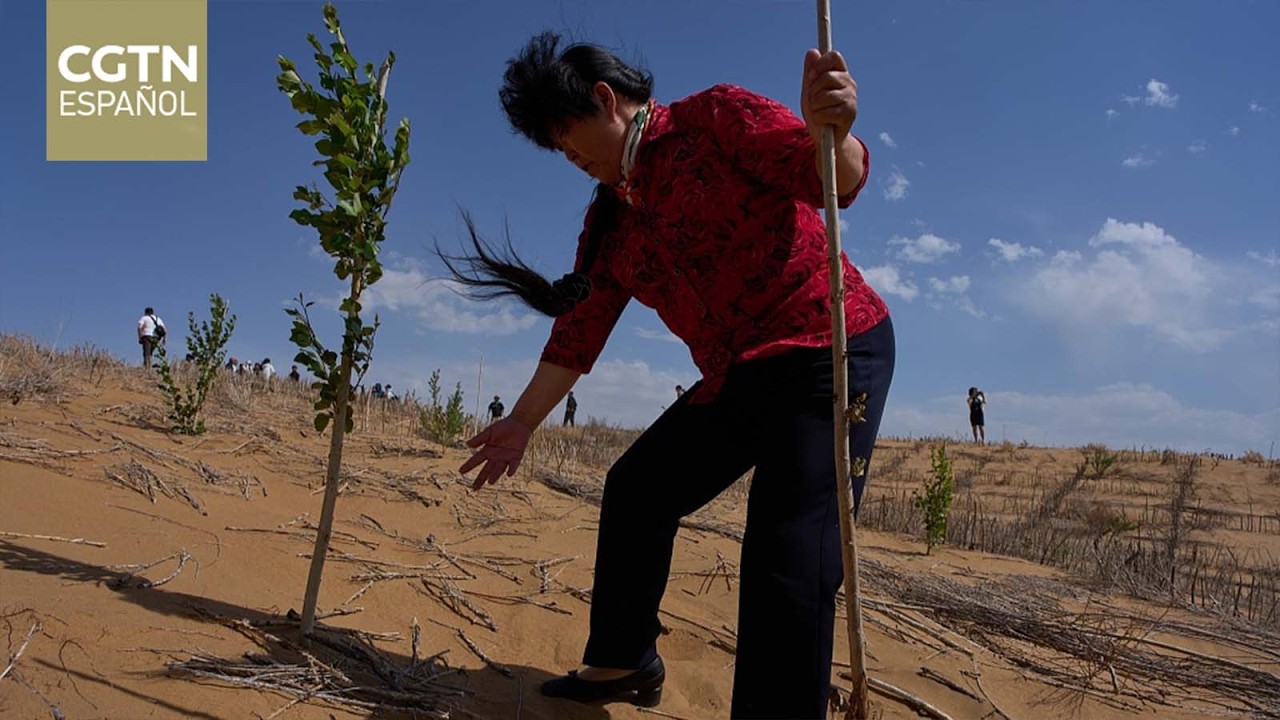 La FAO reconoce las contribuciones a la agricultura y al desarrollo rural de tres mujeres chinas