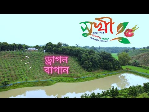 মানিকছড়ি উপজেলায় সুখী এগ্রো পার্ক নিয়ে বিটিভি তে প্রচারিত প্রতিবেদন 'কৃষি কথা'
