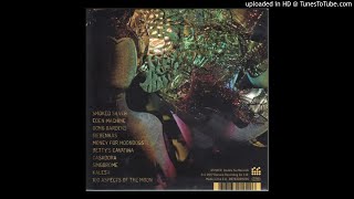 Trailer Trash Tracys - Singdrome