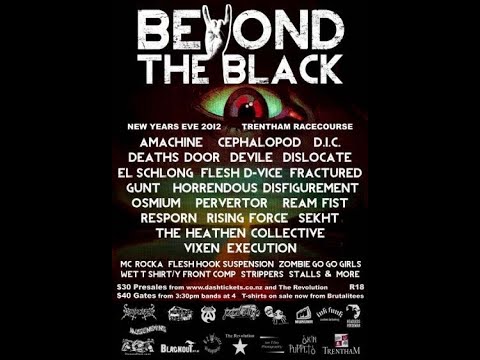 Vixen Execution [2012.12.31] Live At 'Beyond The Black 2012'