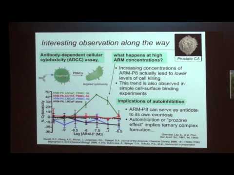SENS5 - Chemical Strategies for Exploring Advanced Glycation End-Products