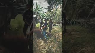 Download lagu Sang pejuang Ringgit😱 mp3