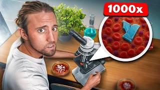 J’ai trouvé du plastique dans mon sang