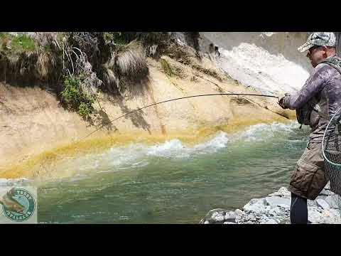 Ever-changing Rivers