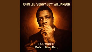 I'm Tired Trucking My Blues Away (Remastered)