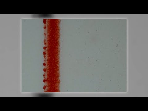 Winterurlaub in Wagrain März 1966