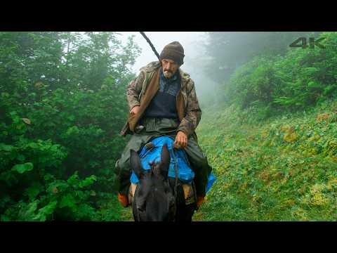 The Remote Forest Farm - Nuri's Life with His Animals | Documentary Film