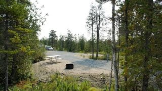 Schoodic Woods Campground Video