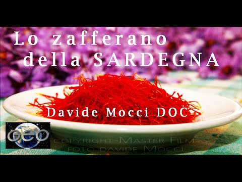 SAFFRON FROM SARDINIA by Davide Mocci DOC RAI GEO - RED GOLD #davidemocci RAIPLAY PANE CARASAU