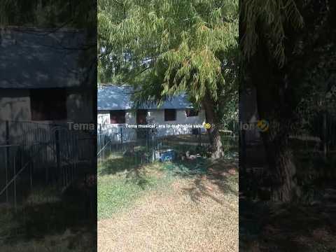 Pueblo 19 de Junio , departamento de Lavalleja , Uruguay 🇺🇾 b. Videitos cultura uruguaya .