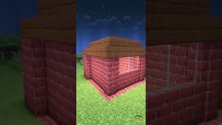 Minecraft House for my Dog 🥹 #shorts
