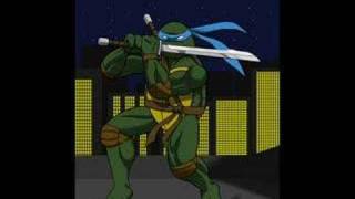 Teenage Mutant Ninja Turtles [Heroes in a Half Shell]