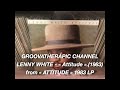 LENNY WHITE - Attitude.(1983)