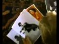 boxing helena - i can't make you love me 