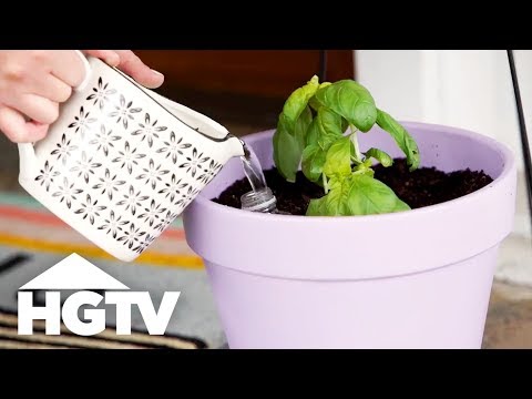 3 Self-Watering Hacks for Your Plants | HGTV