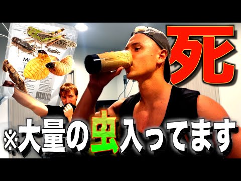増量中のヤンに大量の虫入り激ヤバプロテイン飲ませてみたw w w w