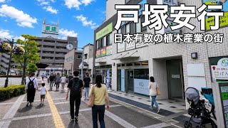  【戸塚安行駅】川口なのに植木だらけ…“安行植木”の街を歩く 埼玉高速鉄道の旅⑥