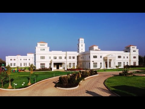 Candor International School